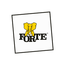 Fabryka Mebli Forte S.A.