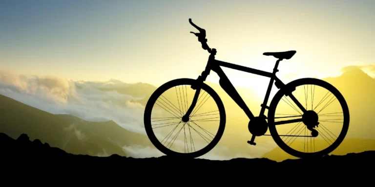 Wdrożenie WMS w Romet