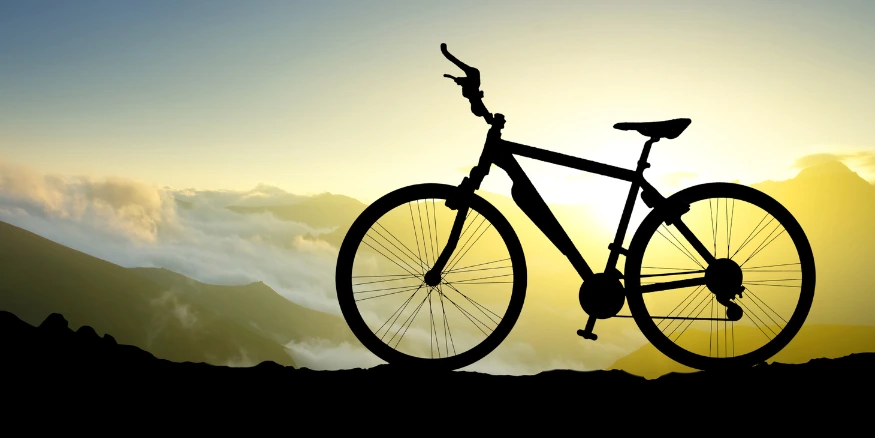 Wdrożenie WMS w Romet